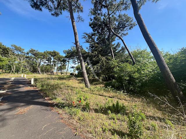 Vente Terrain 297 m2 La Tranche sur Mer