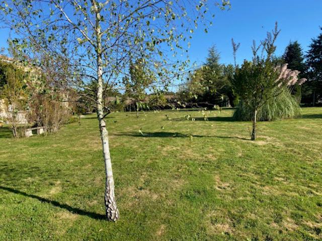 Vente Terrain 2950 m2 Faleyras