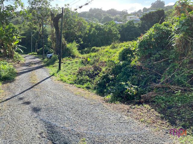 Vente Terrain 0 m2 Le lamentin