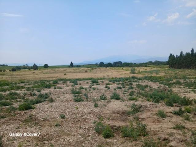 Vente Terrain 295 m2 Villemolaque