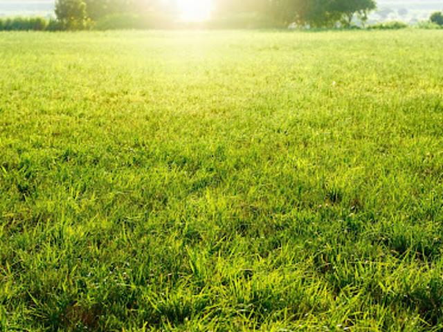 Vente Terrain 295 m2 Palaiseau
