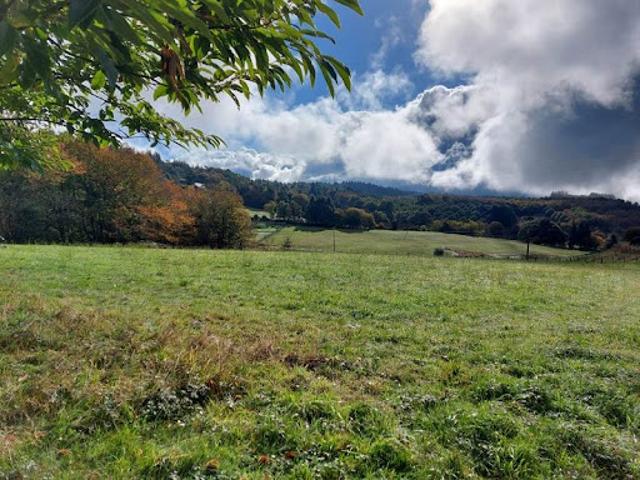 Vente Terrain 2964 m2 Palazinges