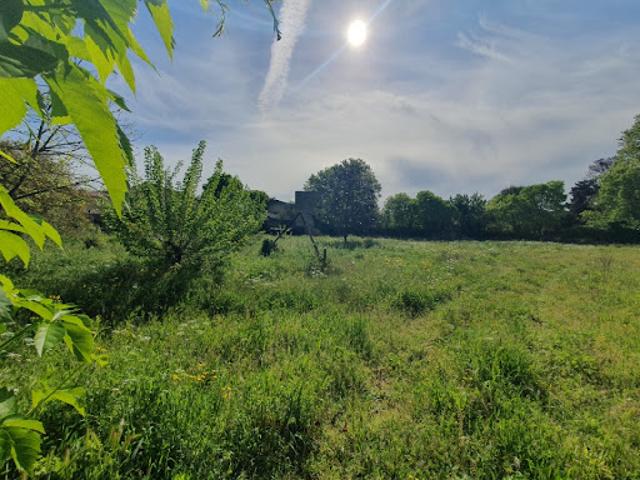 Vente Terrain 298 m2 Vergèze