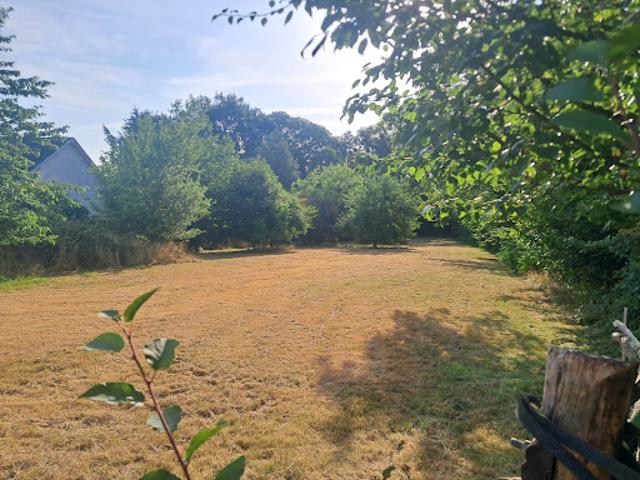 Vente Terrain 2995 m2 Benayes