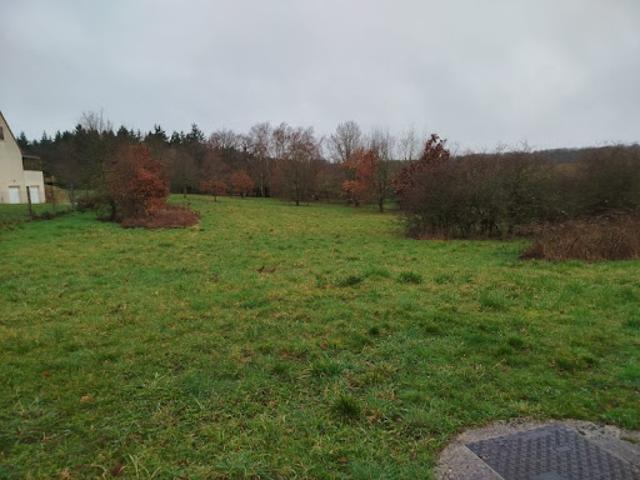 Vente Terrain 2997 m2 Dame Marie les Bois