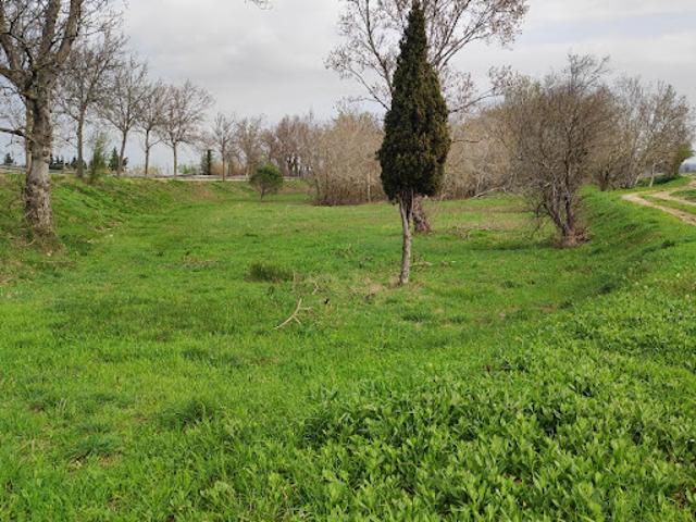 Vente Terrain 299 m2 Coursan