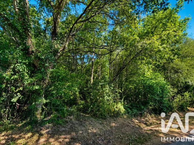 Vente Terrain 29 190 m²