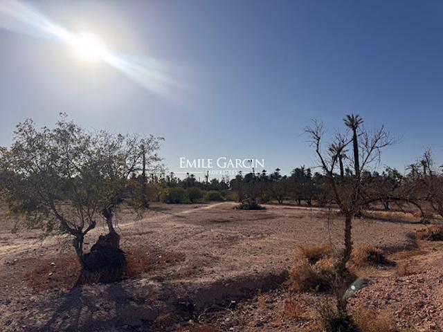 Vente Terrain 20000 m2 Mont de Marsan