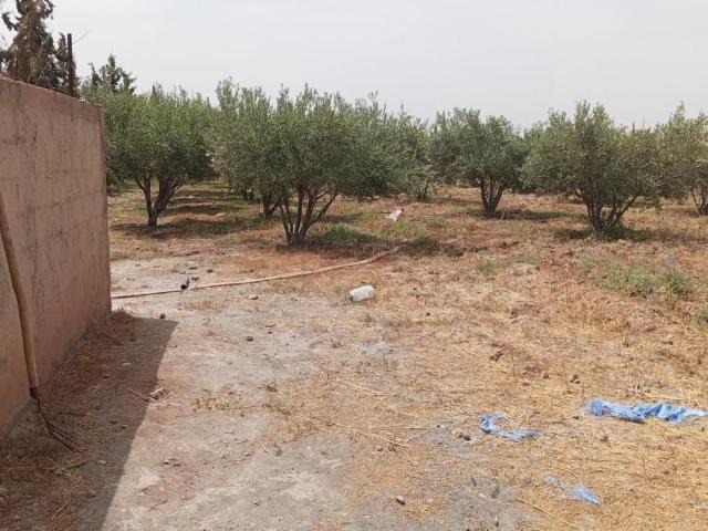Vente terrain 20000 m² à Marrakech