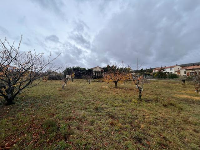 Vente Terrain 2000 m2 Caunes Minervois