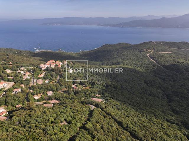 Vente Terrain 2000 m2 Belvédère Campomoro