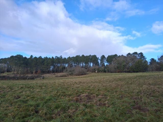 Vente Terrain 2000 m2 Fraisse