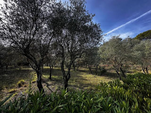 Vente Terrain 2000 m2 Lorgues