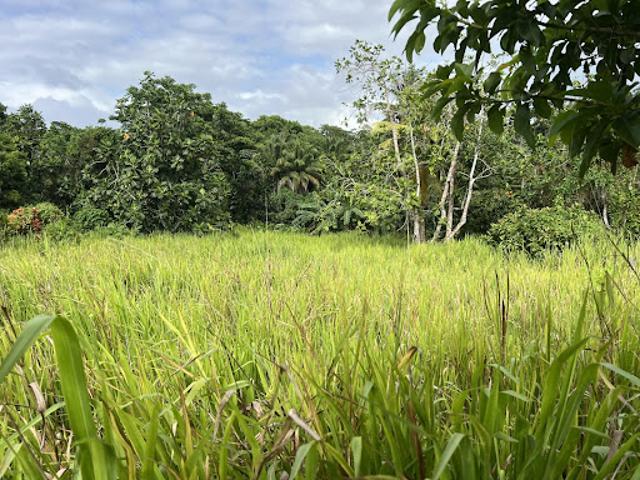 Vente Terrain 2000 m2 Lamentin
