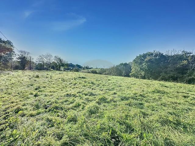 Vente Terrain 2000 m2 Lanespède