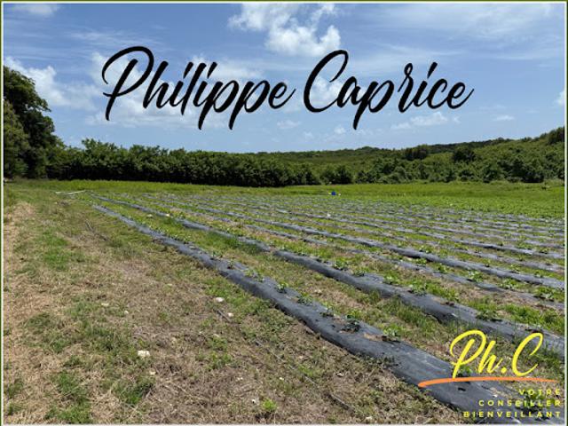 Vente Terrain 2000 m2 Le vauclin