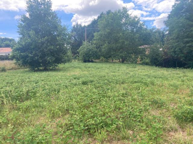 Vente Terrain 2000 m2 Sarbazan