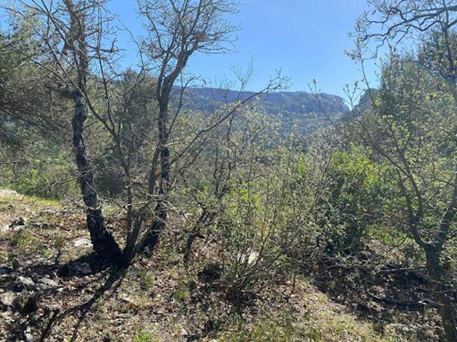 Vente Terrain 2000 m2 Plan d'Aups Sainte Baume