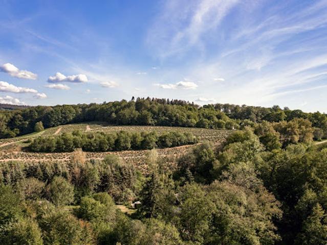Vente Terrain 2000 m2 Rosiers d'Egletons