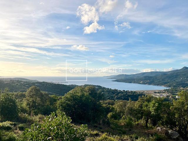 Vente Terrain 2000 m2 Viggianello