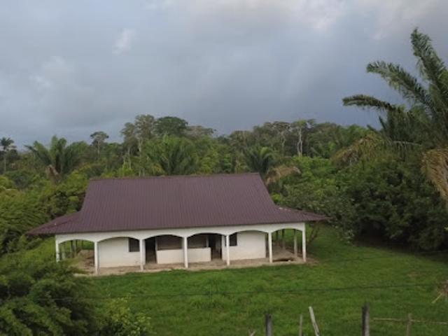Vente Terrain 20025 m2 Mana