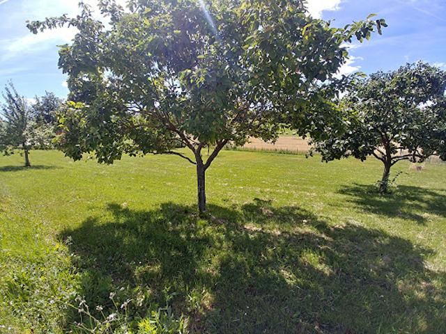 Vente Terrain 2003 m2 Caussade
