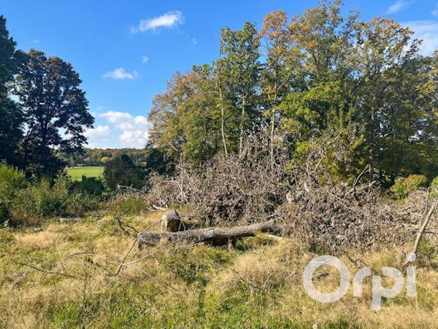 Vente Terrain 2003 m2 Trie Château
