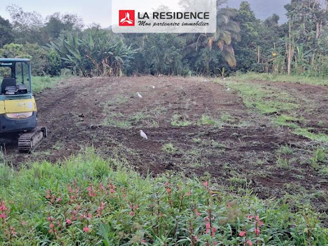 Vente Terrain 2004 m2 Le morne rouge
