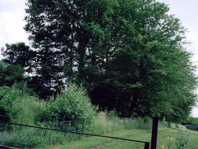 Vente Terrain 2005 m2 Crepy en valois