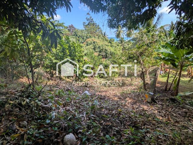 Vente Terrain 2006 m2 La trinite