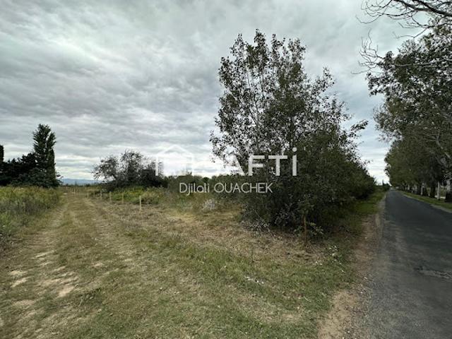 Vente Terrain 2010 m2 Saint Hippolyte