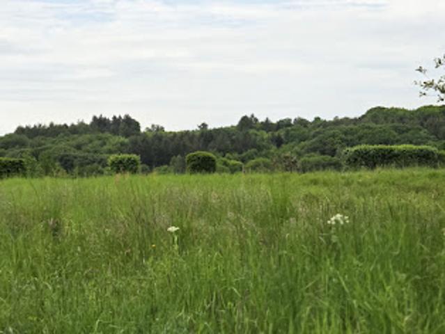 Vente Terrain 2011 m2 Saint Pardoux Corbier