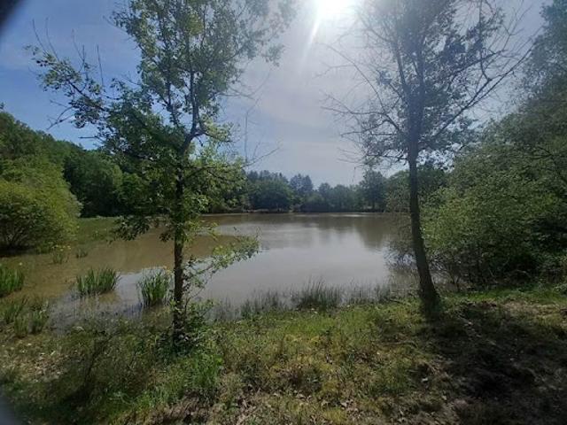 Vente Terrain 20333 m2 Langon sur Cher