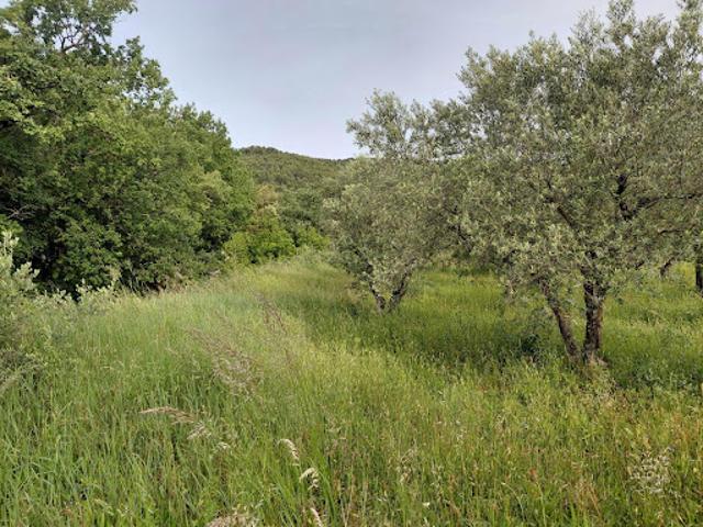 Vente Terrain 2038 m2 Peyruis