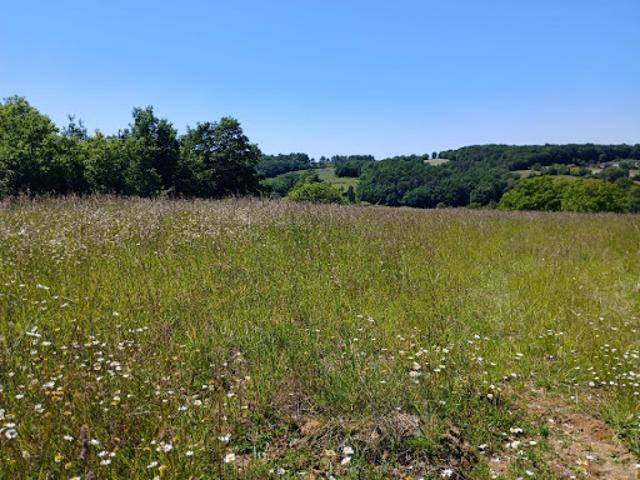 Vente Terrain 2040 m2 Saint Astier