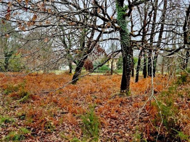 Vente Terrain 2050 m2 Saint Julien en Born