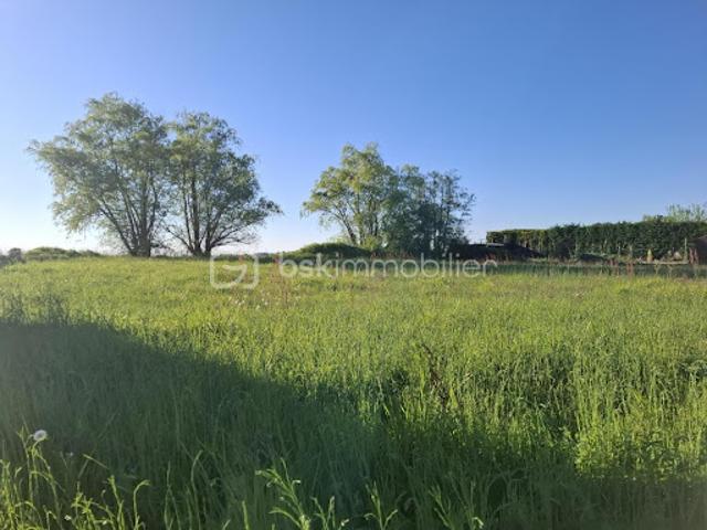 Vente Terrain 2055 m2 Flaujagues