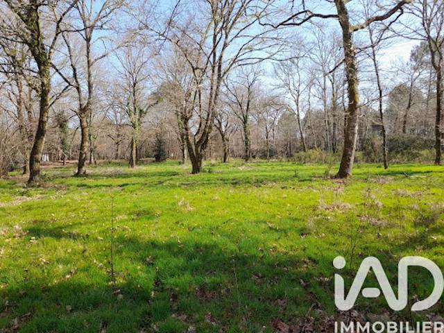 Vente Terrain 20620 m2 Commensacq