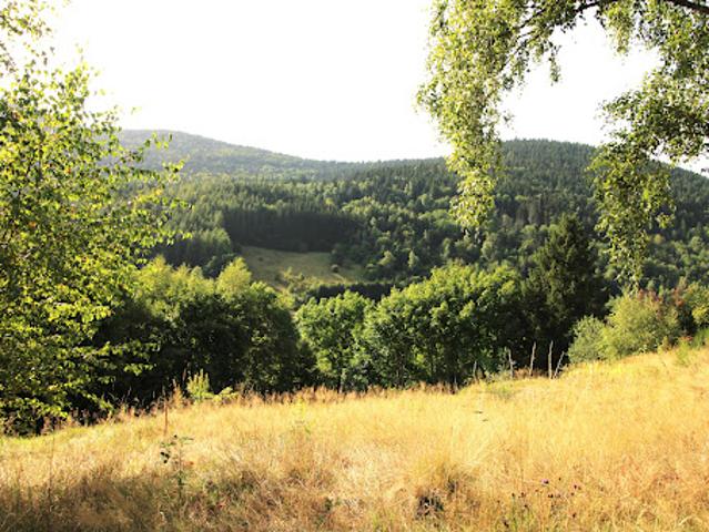 Vente Terrain 2080 m2 Bussang