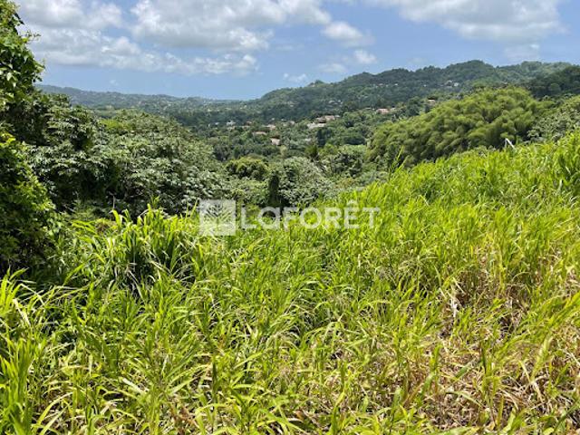 Vente Terrain 1100 m2 Le lamentin