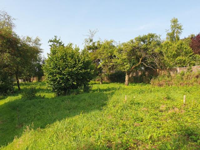 Vente Terrain 2114 m2 Bethoncourt
