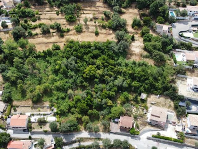 Vente Terrain 2130 m2 Falicon