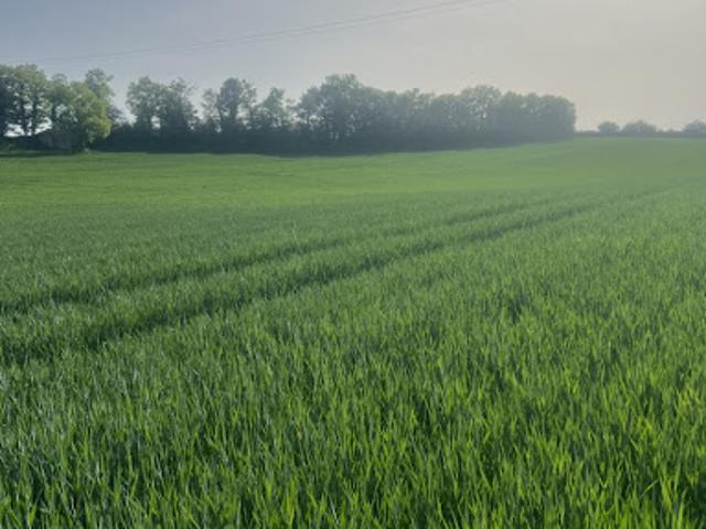 Vente Terrain 2140 m2 Castelnau Montratier