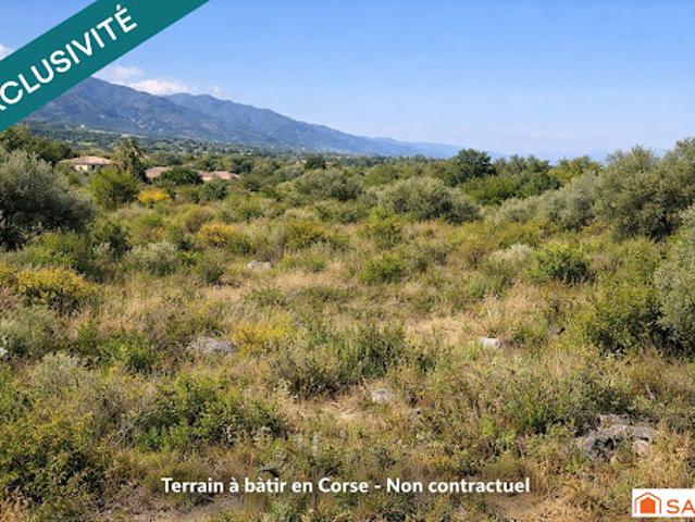 Vente Terrain 2145 m2 Poggio Mezzana