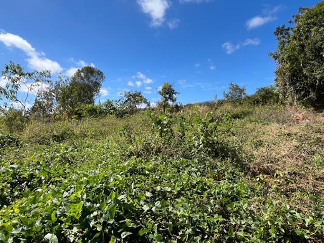 Vente Terrain 2146 m2 Saint paul