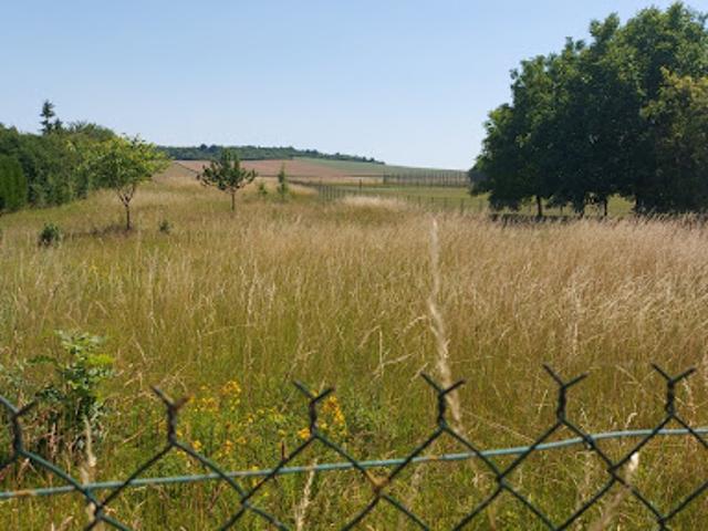 Vente Terrain 2150 m2 Broussy le Grand