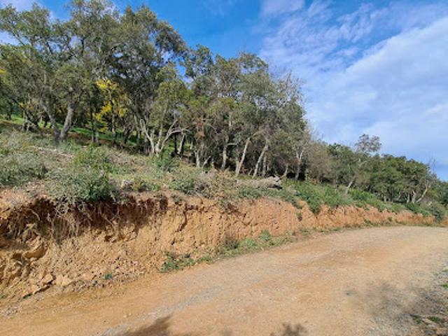 Vente Terrain 2150 m2 La Môle