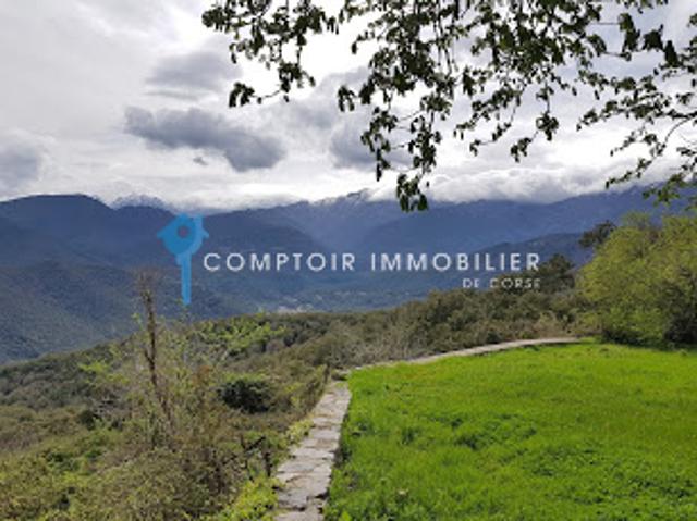 Vente Terrain 215 m2 Prunelli di Fiumorbo
