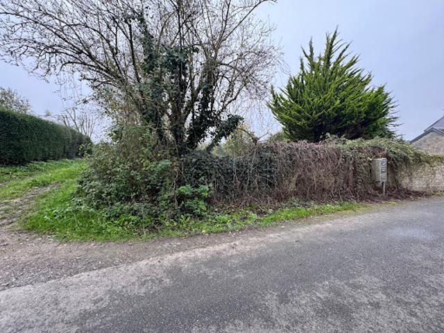 Vente Terrain 21623 m2 Vaux sur Seulles