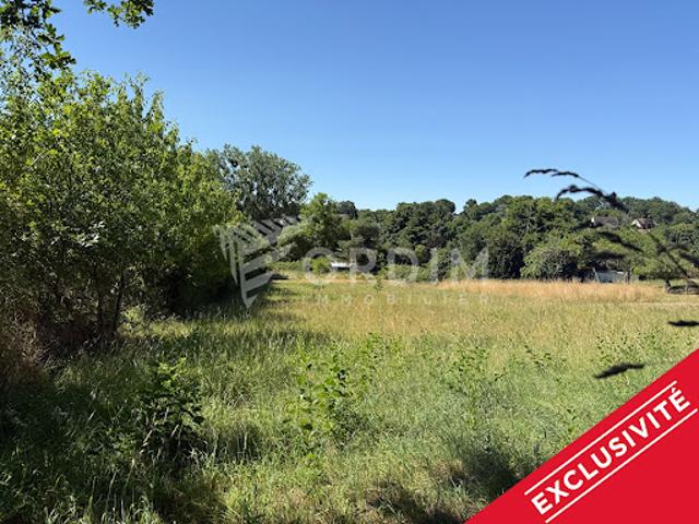 Vente Terrain 2165 m2 Myennes